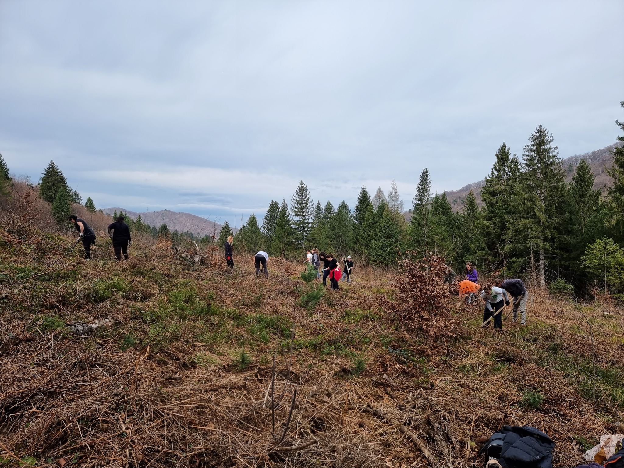 Valea Moasei Preview 1